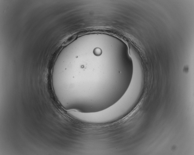 X0000116791161201001081307