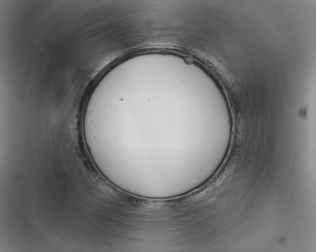 X0000116791162201001081307