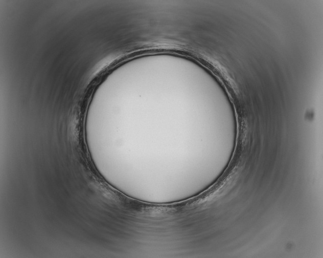 X0000116791163201001081307