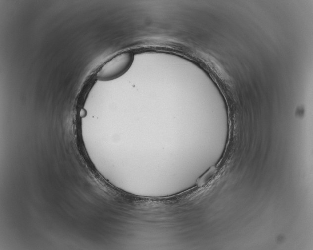 X0000116791164201001081307