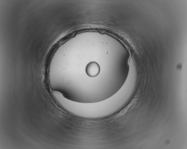 X0000116791165201001081307