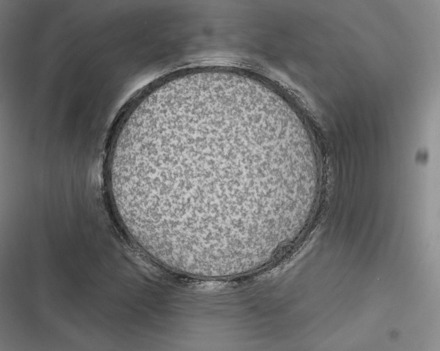 X0000116791166201001081307