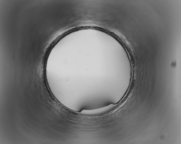 X0000116791167201001081307