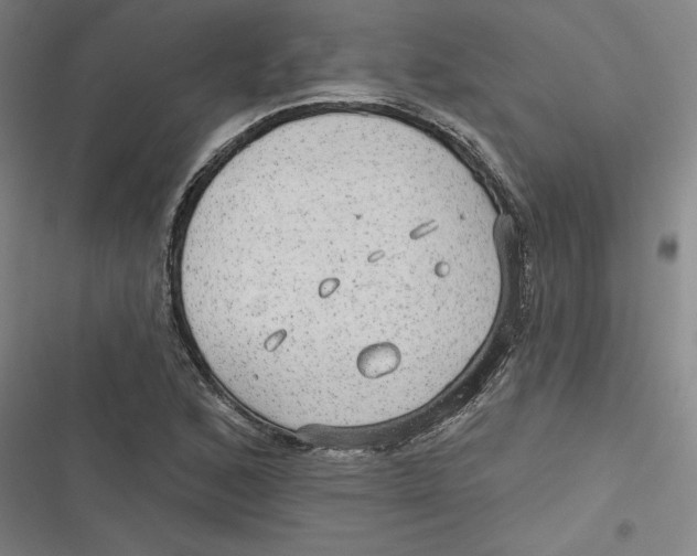 X0000116791168201001081307