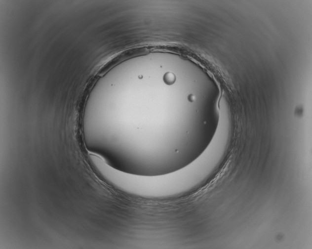 X0000116791169201001081307