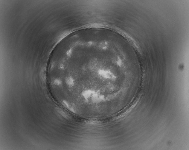 X0000116791170201001081307