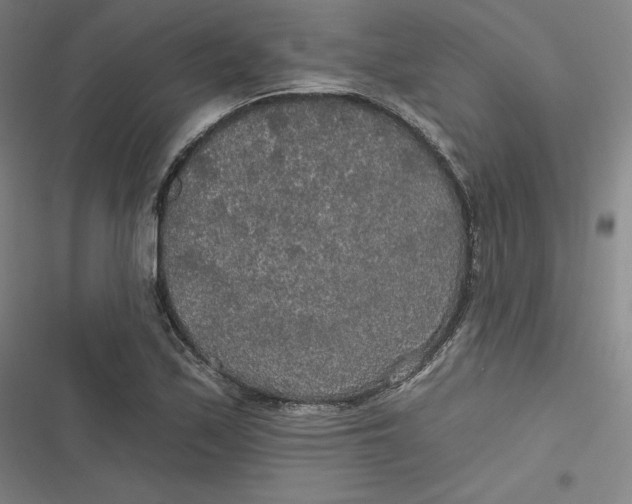 X0000116791171201001081307