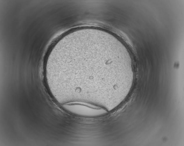 X0000116791172201001081307