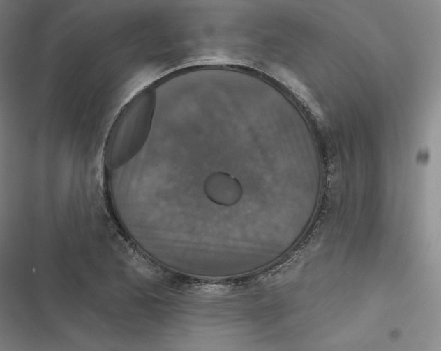 X0000116791173201001081307