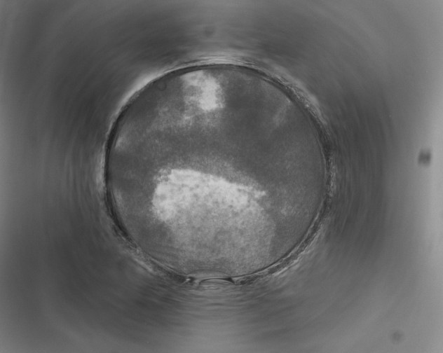 X0000116791174201001081307