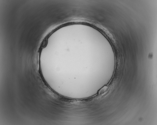 X0000116791175201001081307