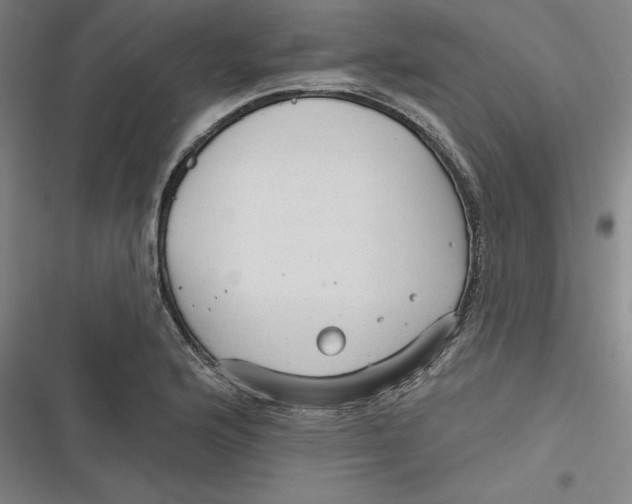 X0000116791176201001081307