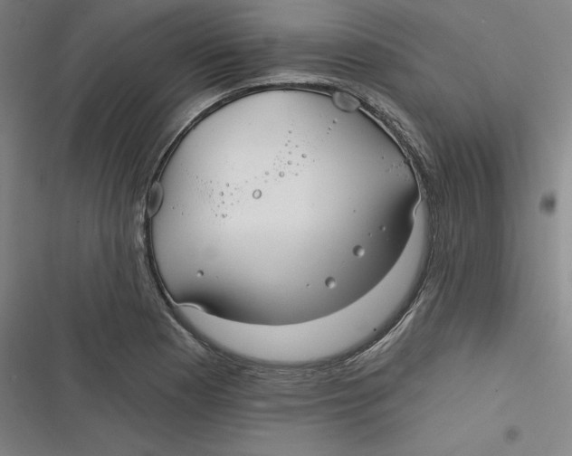 X0000116791177201001081307