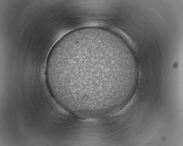 X0000116791178201001081307