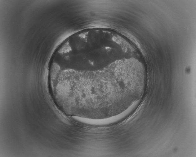 X0000116791179201001081307