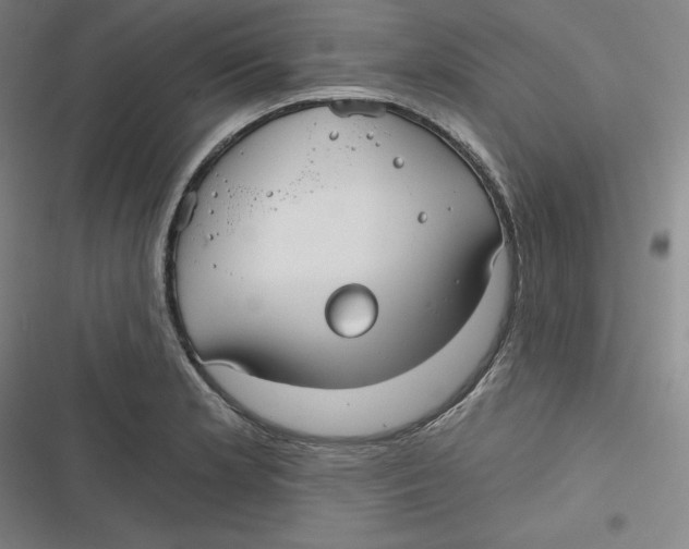 X0000116791181201001081307