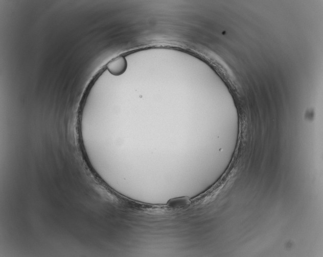 X0000116791182201001081307