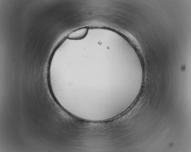 X0000116791183201001081307