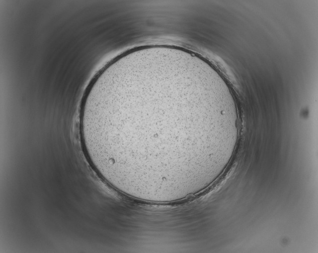 X0000116791184201001081307