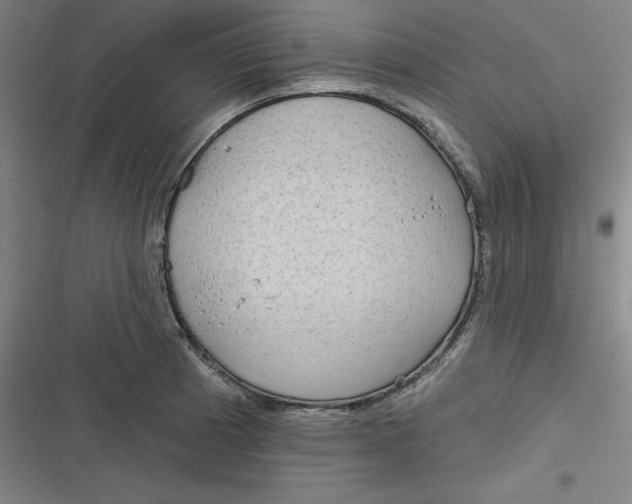 X0000116791185201001081307