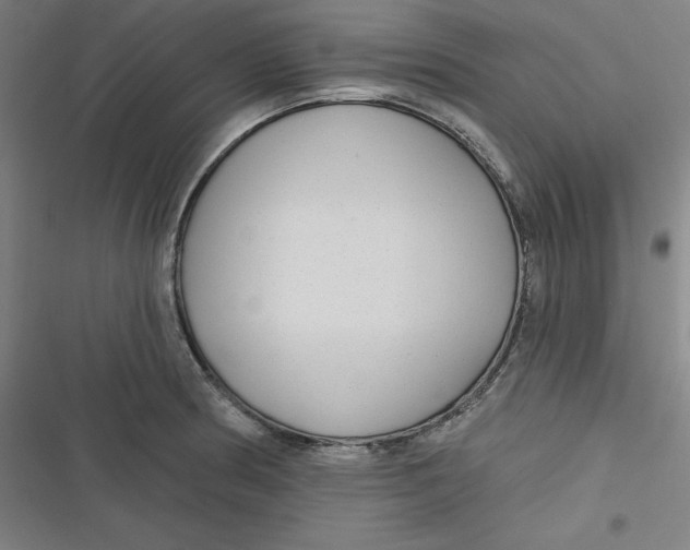 X0000116791186201001081307