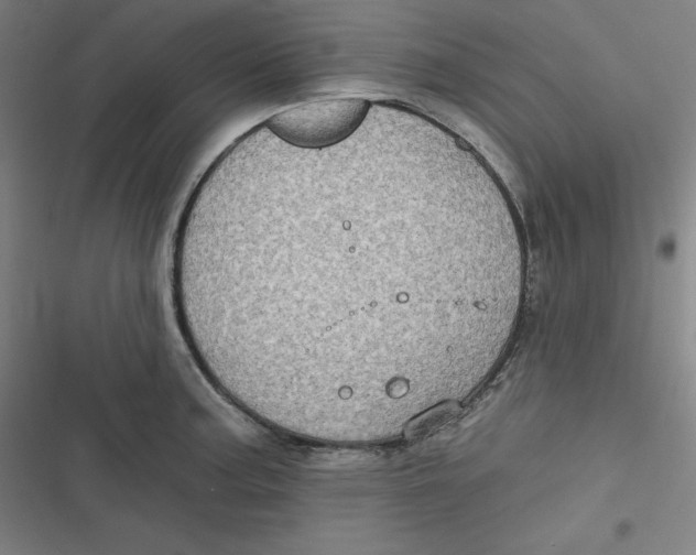 X0000116791187201001081307