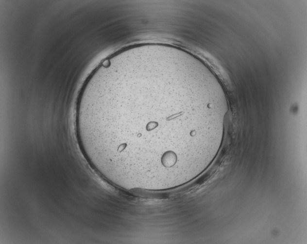 X0000116791188201001081307