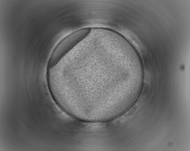 X0000116791189201001081307