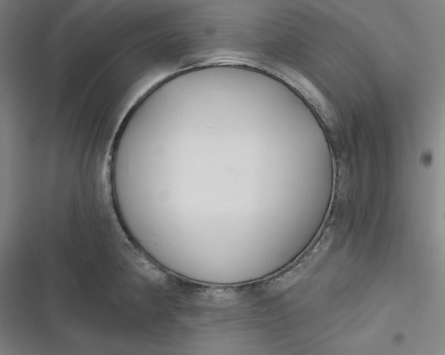 X0000116791190201001081307