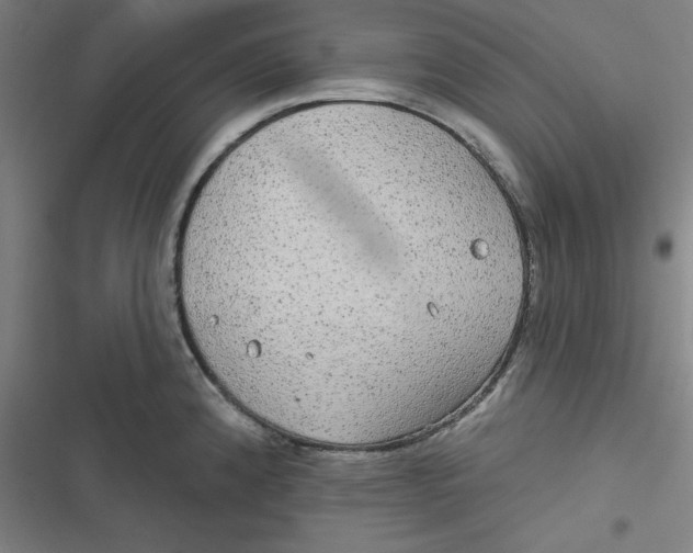 X0000116791192201001081307