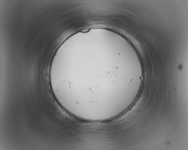 X0000116791193201001081307