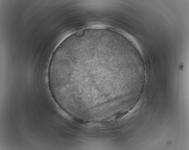 X0000116791194201001081307