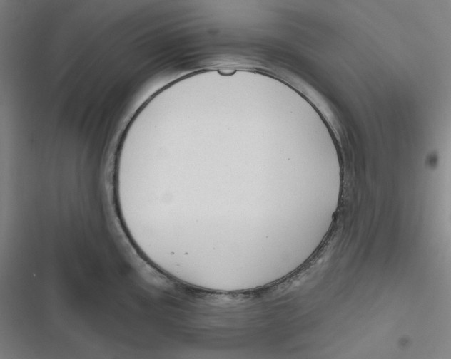 X0000116791195201001081307