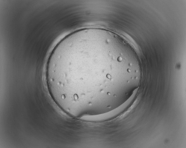 X0000116791196201001081307