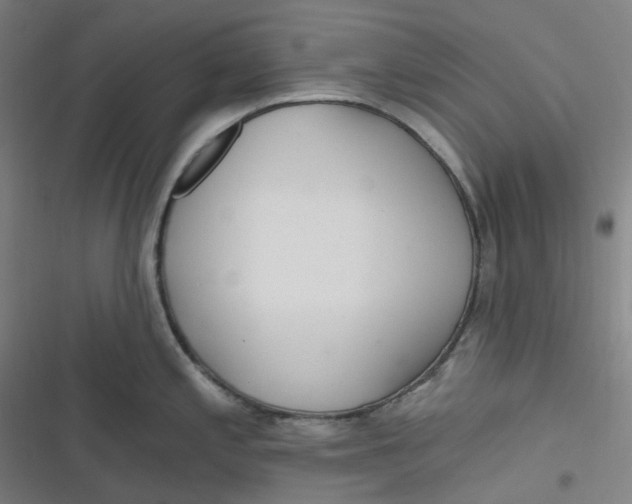 X0000116791197201001081307