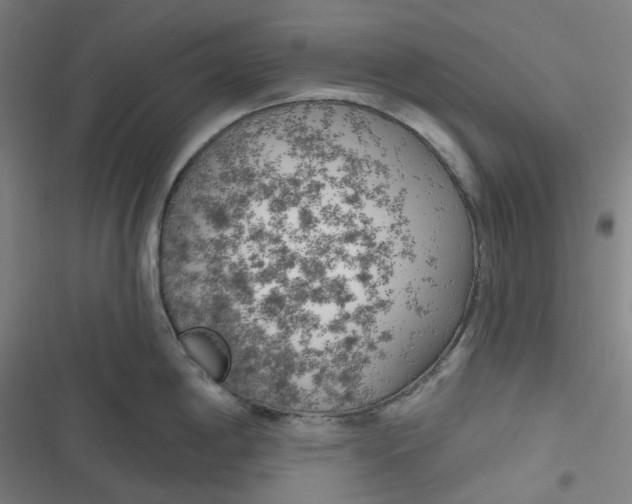 X0000116791198201001081307