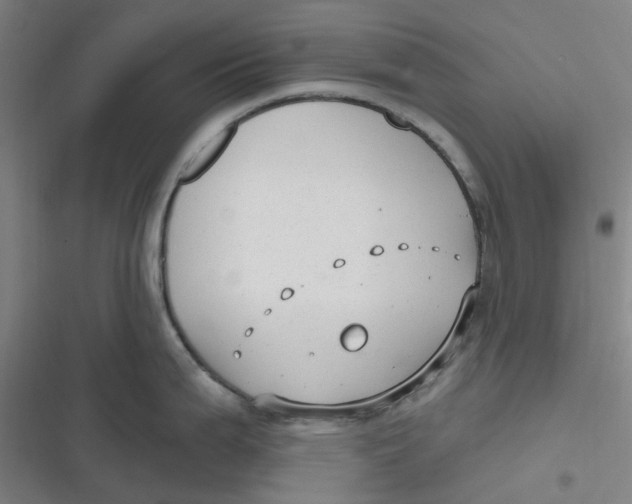 X0000116791199201001081307