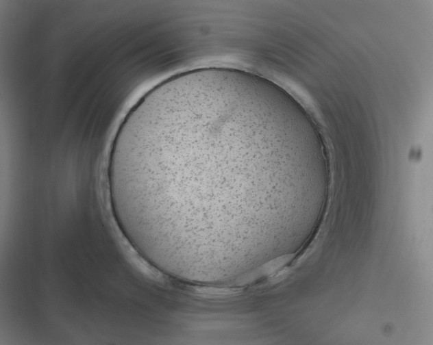 X0000116791200201001081307