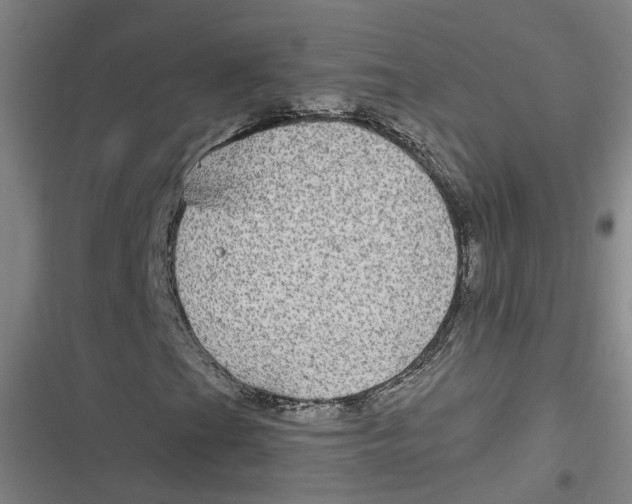 X0000116791201201001081306