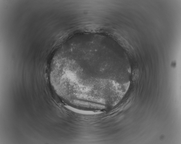 X0000116791202201001081306