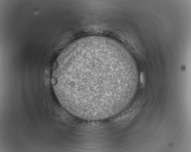 X0000116791203201001081306