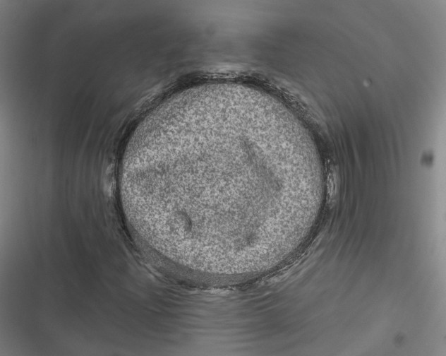 X0000116791204201001081306