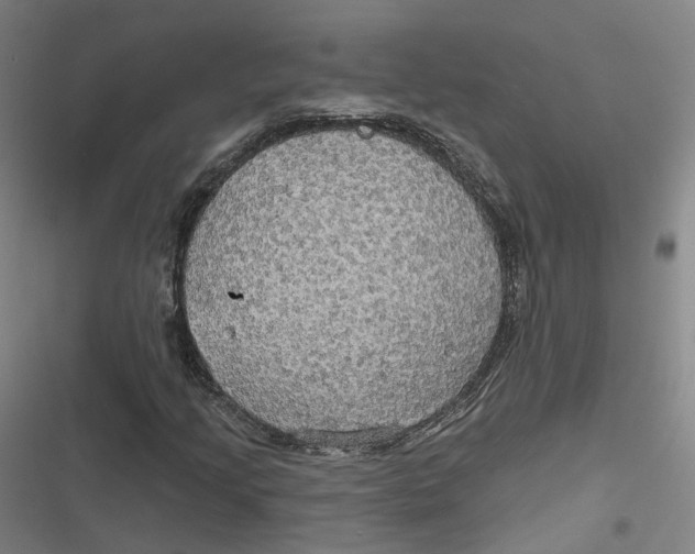 X0000116791205201001081306