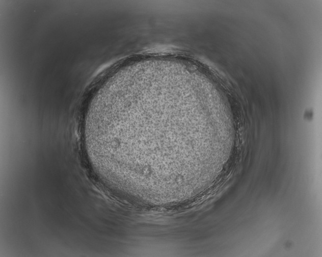 X0000116791206201001081306