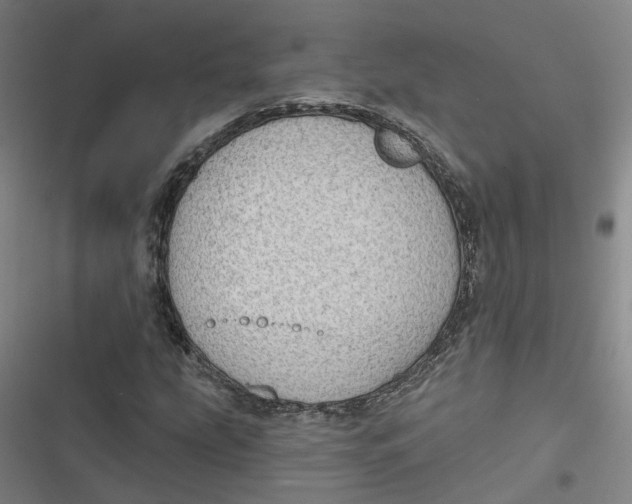 X0000116791207201001081306