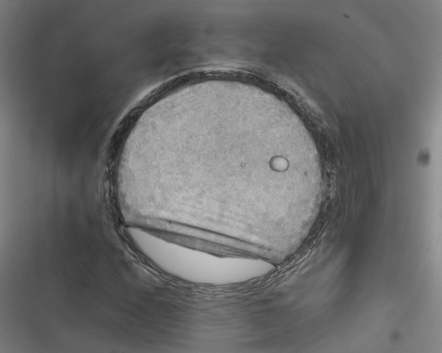 X0000116791208201001081306