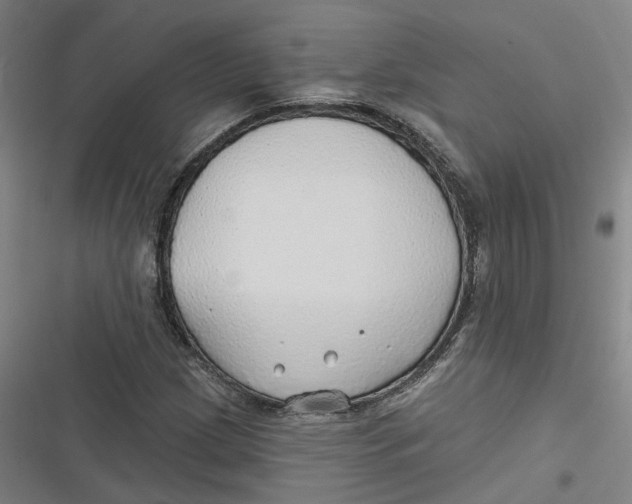 X0000116791209201001081306