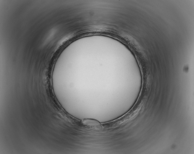 X0000116791210201001081306