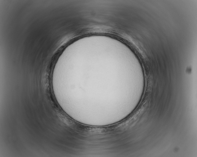 X0000116791211201001081306