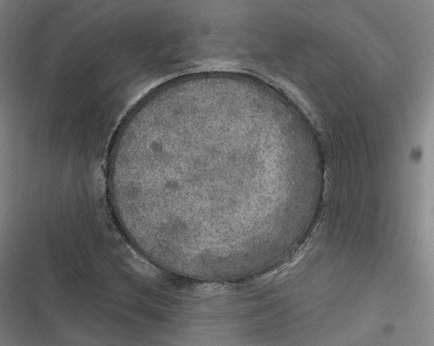 X0000116791212201001081306